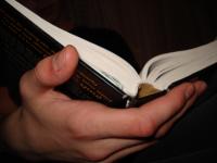 Belgarun: The New Face of Publishing
